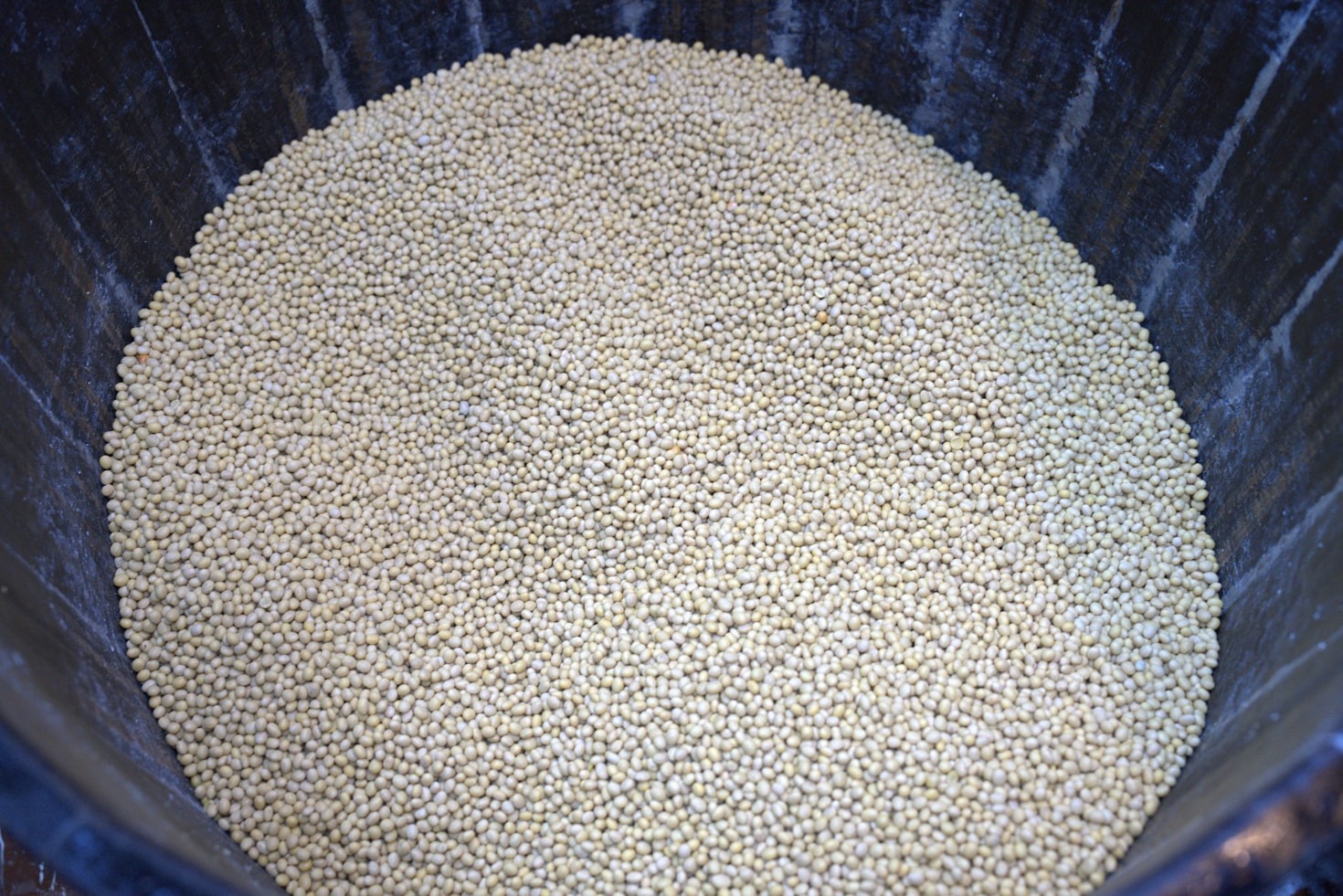 Why Quality Matters in the Rice You Eat