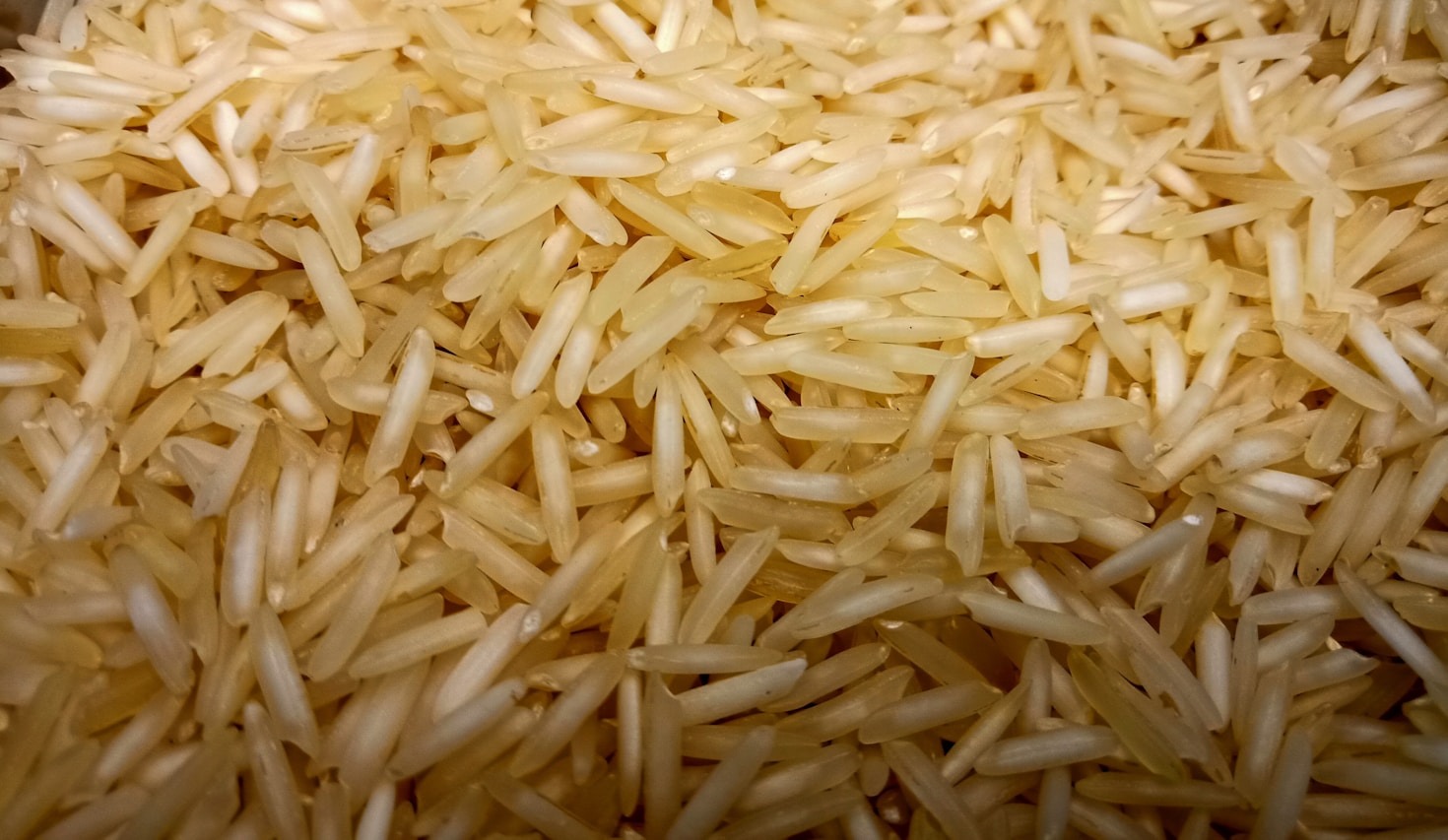 Sustainability in the Rice Industry: Our Approach