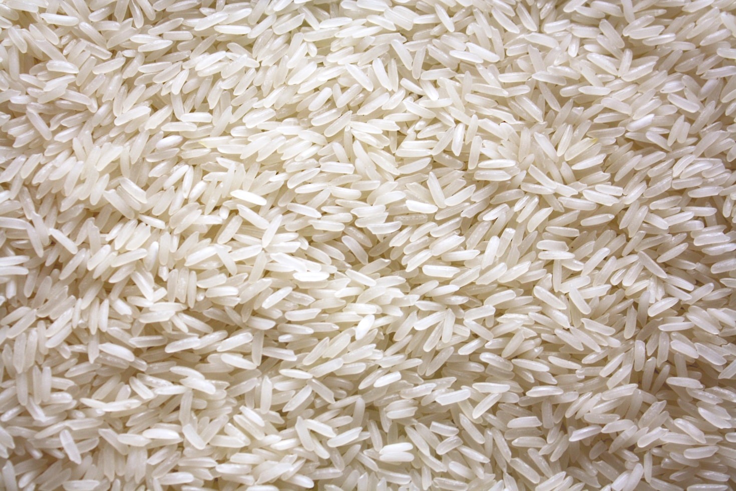 Exploring the Varieties of High-Grade Rice