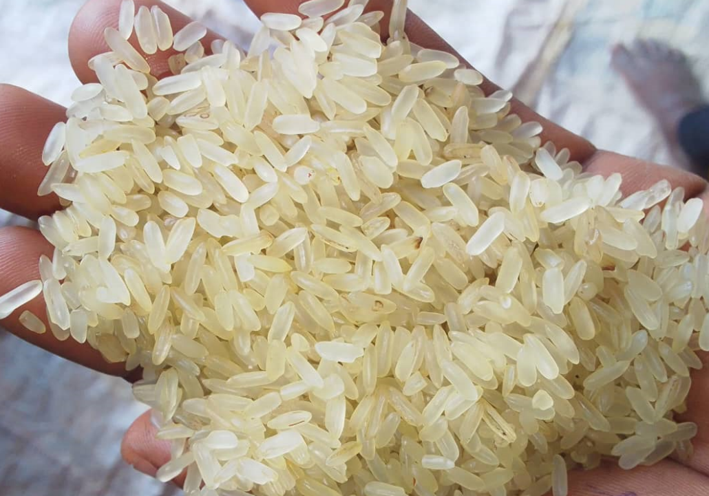 The Role of Advanced Milling in Rice Quality